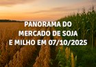 PANORAMA DO MERCADO DA SOJA E MILHO EM 07/10/2025