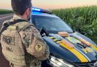 PRF apreende drogas e arma após perseguição na BR-163
