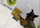 BPFRON apreende drogas e prende homem por tráfico na Rodoviária de Guaíra