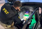 PRF apreende quase 1,3 tonelada de drogas e flagra veículos adulterados no Oeste do Paraná