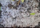Granizo e chuva intensa causam alagamentos e transtornos em diversos bairros de Cascavel