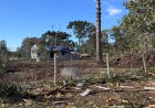 Simepar classifica como F2 o tornado que devastou Reserva e ventos atingiram quase 200 km/h