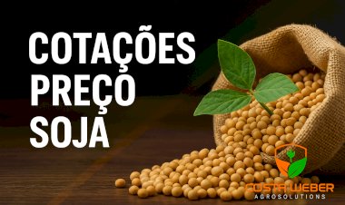 Cotação Preço de SOJA em 25.07.2025