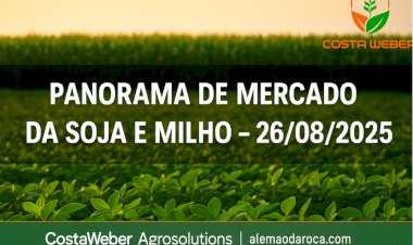 Panorama do Mercado da Soja e do Milho – 26/08/2025