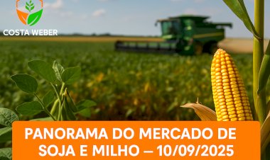 Panorama do Mercado de Soja e Milho em10/09/2025