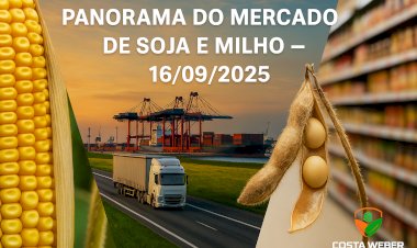 Panorama do Mercado de Soja e Milho 16/09/2025: Negócios travados e Oferta ampla