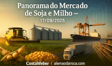 Panorama do Mercado de Soja e Milho  17/09/2025