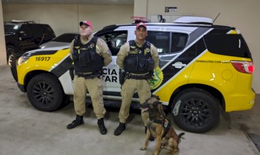 Polícia Militar apreende mais de 11 toneladas de drogas na BR-277