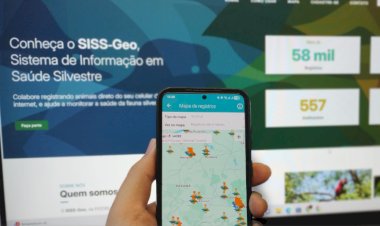 Paraná reforça vigilância da febre amarela com tecnologia pioneira de monitoramento georreferenciado
