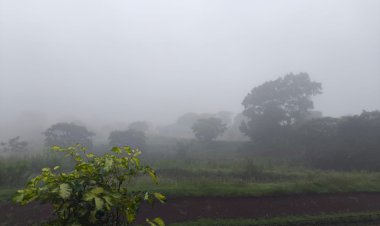 Marechal Cândido Rondon amanhece com muita neblina mas  calor deve atingir os  32 °C neste sábado (03)