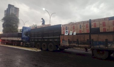 Ação integrada  deixa contrabandistas com prejuízo estimado em R$ 2.007.500,00 na fronteira