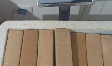 Polícia apreende 47,4 quilos de maconha em quitinete de Entre Rios do Oeste