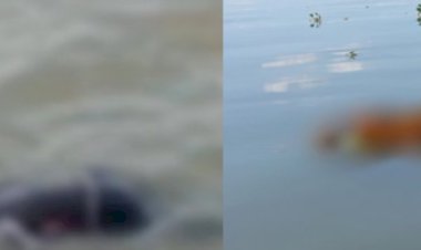 Tragédia no Rio Paraná: dois pescadores de Toledo morrem  após possível  colisão de embarcação