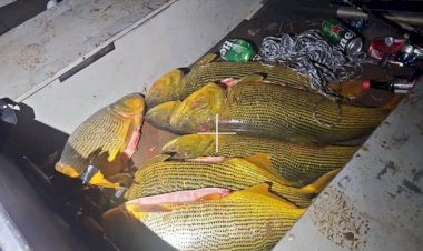 Neste domingo dia 29 a polícia Ambiental prendeu seis pessoas por pesca ilegal e porte de arma no Paraná