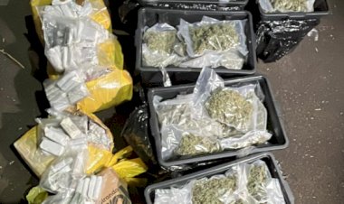 Cães farejadores da PRF ajudam a apreender mais de 80 kg de drogas no Oeste do Paraná