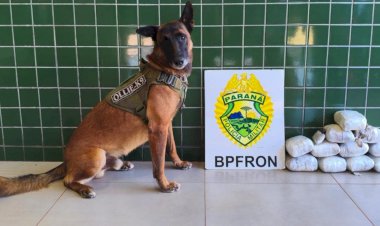 BPFRON prende mulher e apreende mais de 6 quilos de haxixe em Guaíra