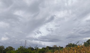 Confira  os volumes de Chuva  registrados de ontem( 25) para hoje (26) em localidades da região de Marechal Rondon e Toledo