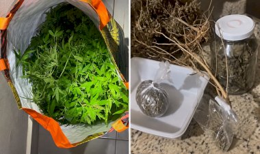 Polícia descobre chácara usada para cultivo e produção de drogas em Umuarama
