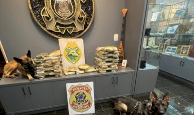 Ação integrada apreende 33,5 kg de maconha em ônibus na Ponte Ayrton Senna e prende jovem em Guaíra
