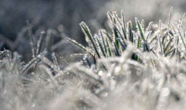 INVERNO CHEGOU: Simepar prevê inverno de 2026 mais chuvoso no Paraná, com temperaturas ligeiramente acima da média