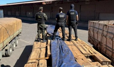 Receita retém 260 toneladas de madeira com indícios de cocaína em operação com Brasil, EUA e Bolívia