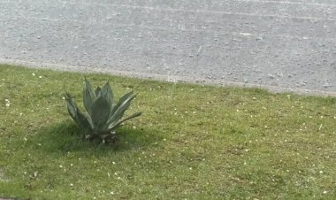 Chuva de Granizo atingiu Umuarama agora a pouco e pode se repetir ainda hoje  segundo alerta meteorológico