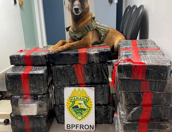 Traficante é preso com  193 kg de maconha  após perseguição entre Marechal Rondon e Toledo