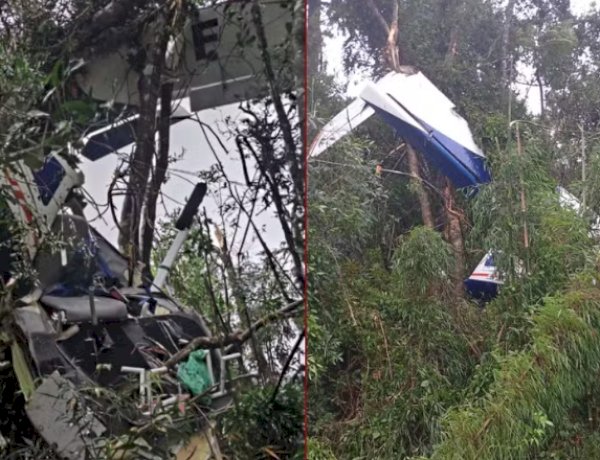 Morre Walter Siegel em acidente de avião no Paraná