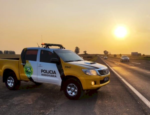 PRF e BPRv apreendem carga milionária de medicamentos contrabandeados em ônibus na BR-369