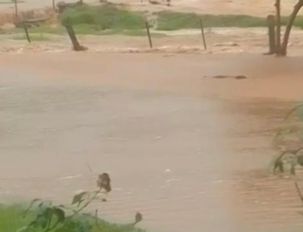 Volumes de chuva superam 200 mm  em Marechal Rondon no Oeste do Paraná  e contradizem  fake news