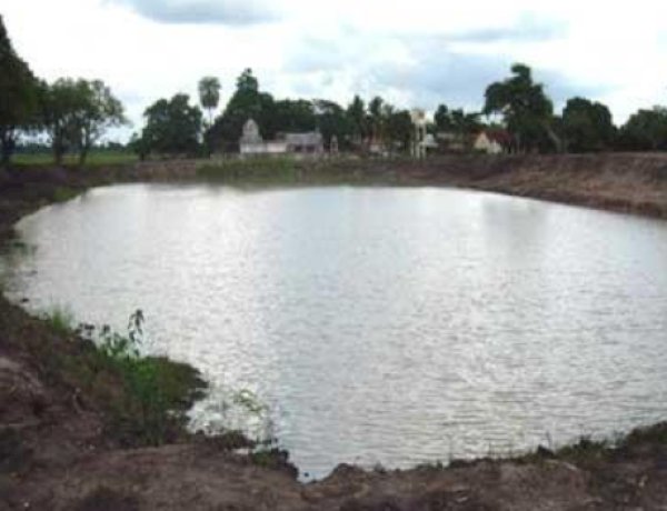 Ladrões furtam peixes de piscicultura na área rural de Toledo e fogem antes da chegada da polícia