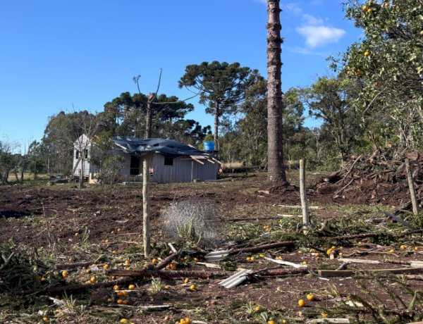 Simepar classifica como F2 o tornado que devastou Reserva e ventos atingiram quase 200 km/h