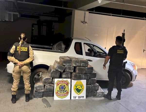 Polícia Militar e Polícia Federal apreendem meia tonelada de maconha em estrada rural de Guaíra