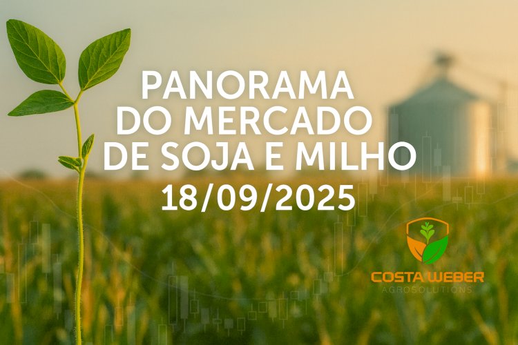 PANORAMA DO MERCADO DE SOJA E MILHO EM 18/09/2025