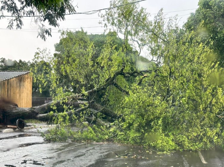 Temporal atinge Guaíra e deixa boa parte da cidade sem luz