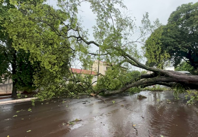 Temporal atinge Guaíra e deixa boa parte da cidade sem luz