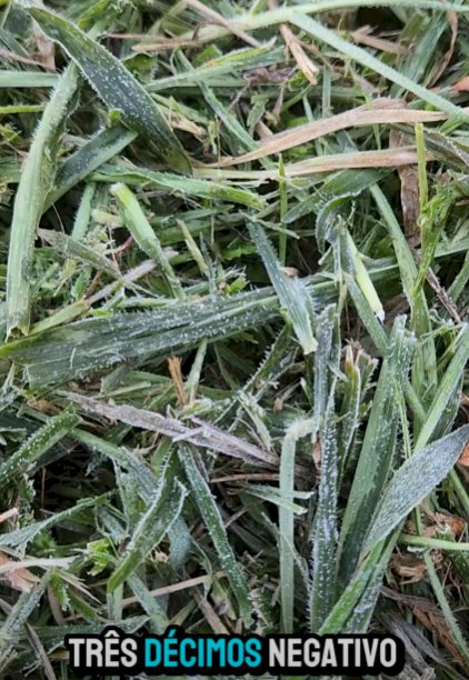 Primeira geada de 2026 é registrada na Serra Catarinense em pleno mês de janeiro