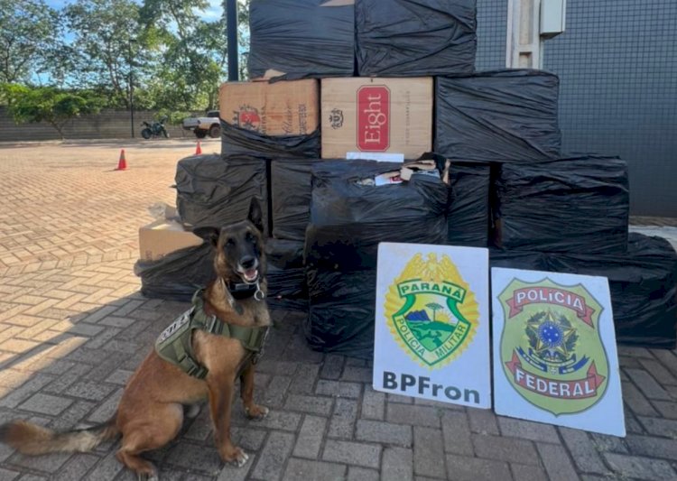 BPFRON e Polícia Federal apreendem 900 pacotes de cigarros contrabandeados em Mercedes