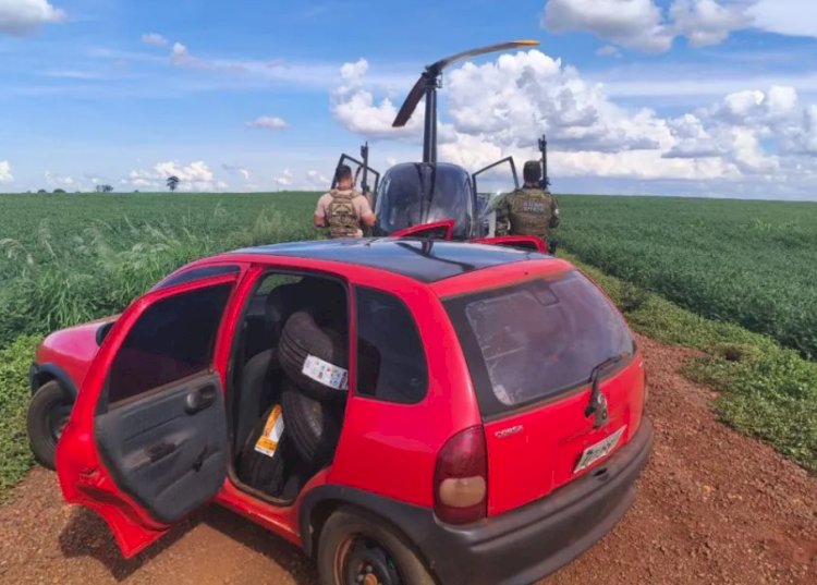Forças de segurança apreendem produtos contrabandeados em área rural de Guaíra