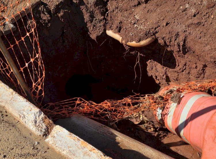 Prefeitura acompanha situação de cratera formada após chuva intensa e obra de saneamento