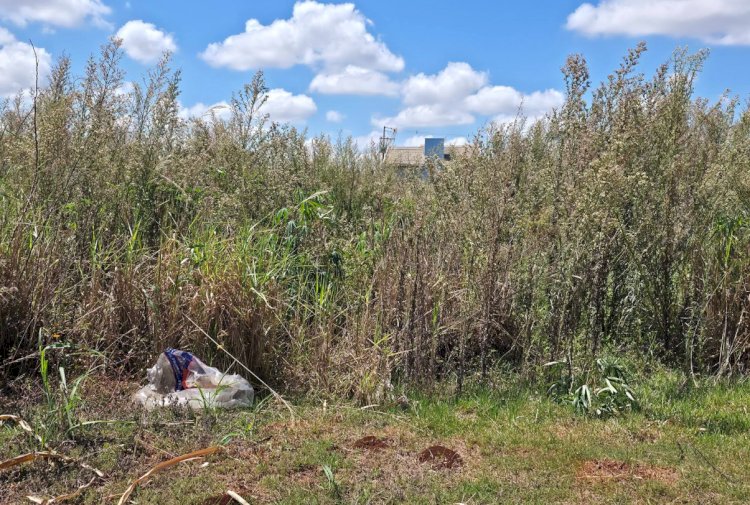 Município reforça responsabilidade dos proprietários na manutenção de terrenos urbanos em Nova Santa Rosa