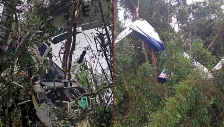 Morre Walter Siegel em acidente de avião no Paraná