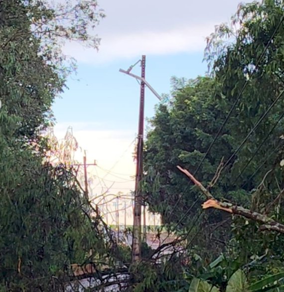 ATENÇÃO: Queda de árvores mantém  interdita rodovia entre Clube Lira e Novo Horizonte em Marechal Rondon