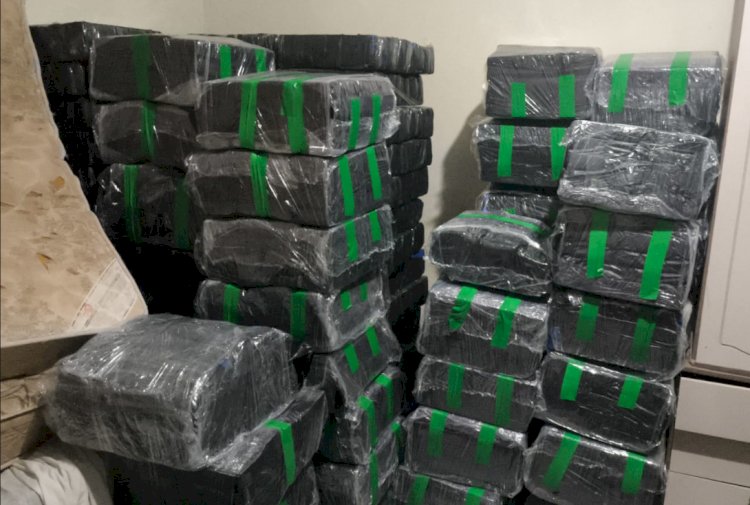 BPFRON apreende quase 1,5 tonelada de maconha e prende homem em Loanda