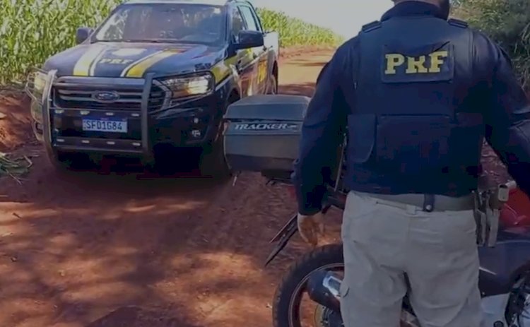 PRF apreende mais de 58 quilos de maconha em duas ocorrências na  região
