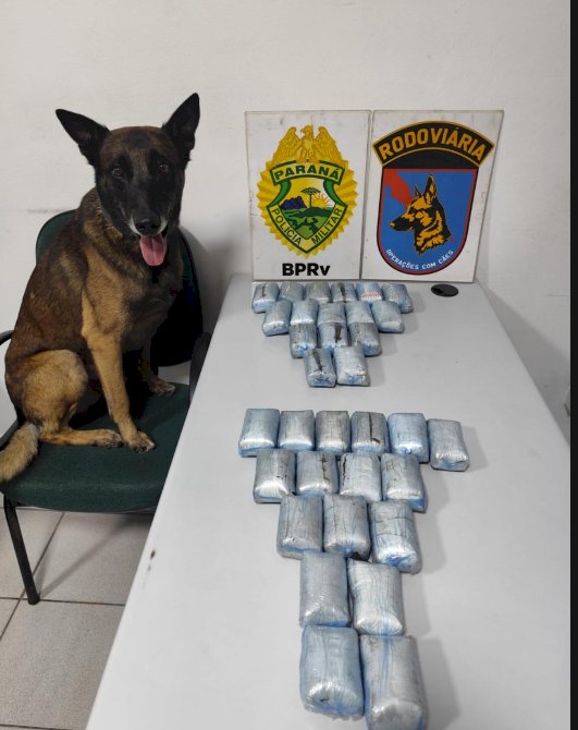 BPRv registra mais de 7 mil flagrantes de excesso de velocidade durante Operação Tiradentes no Paraná