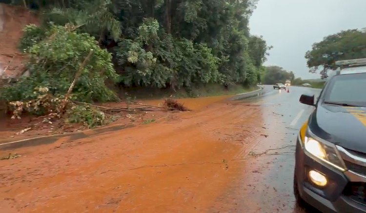 Volumes de chuva superam 200 mm  em Marechal Rondon no Oeste do Paraná  e contradizem  fake news