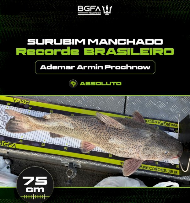 Pescador de Mercedes PR, conquista recorde nacional com surubim manchado