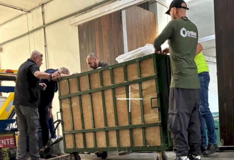 Anta resgatada após acidente na BR-277 volta à natureza no Paraná