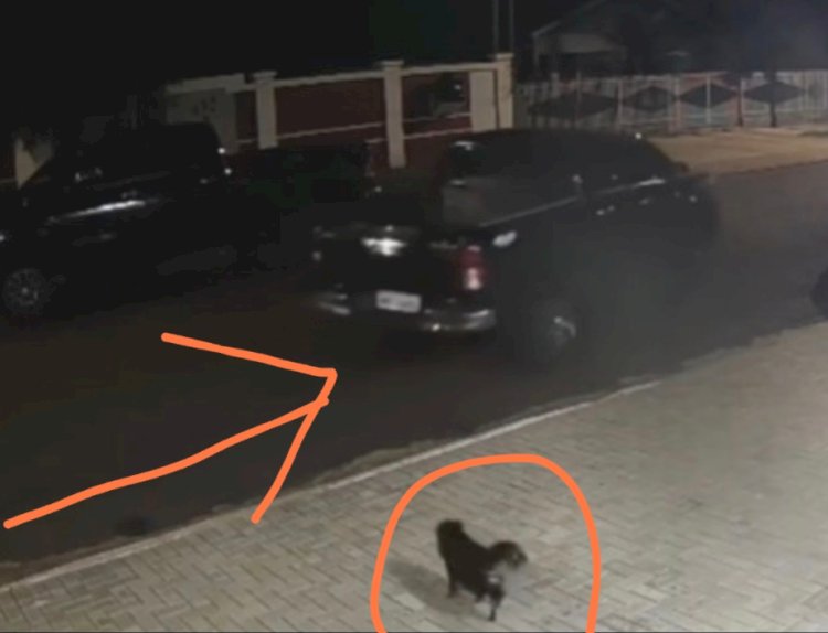 Polícia mobiliza forças da fronteira após furto de caminhonete em Nova Santa Rosa